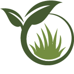 Privacy Hedge Planting Pros