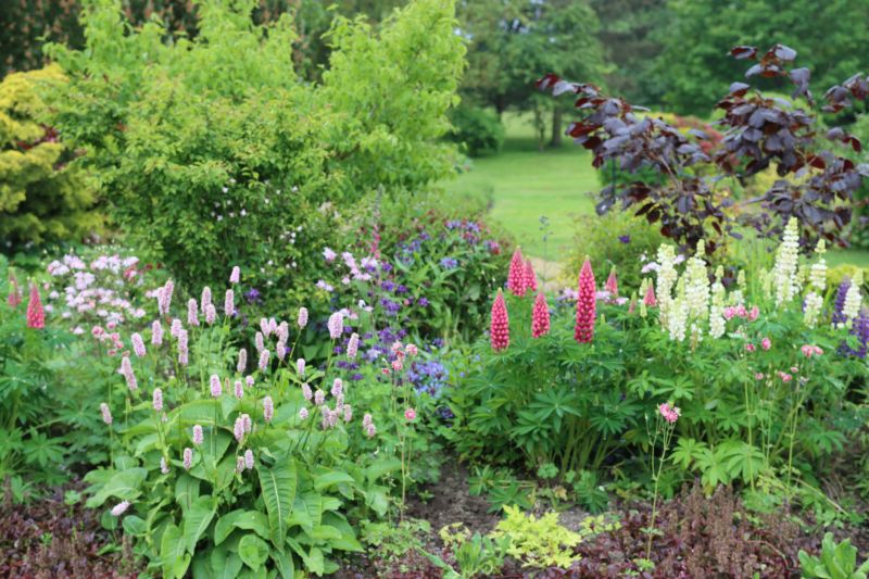 Perennial Landscaping in Honolulu, HI