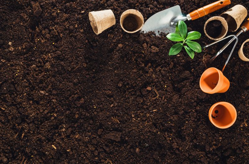 Root Zone and Soil Conditions