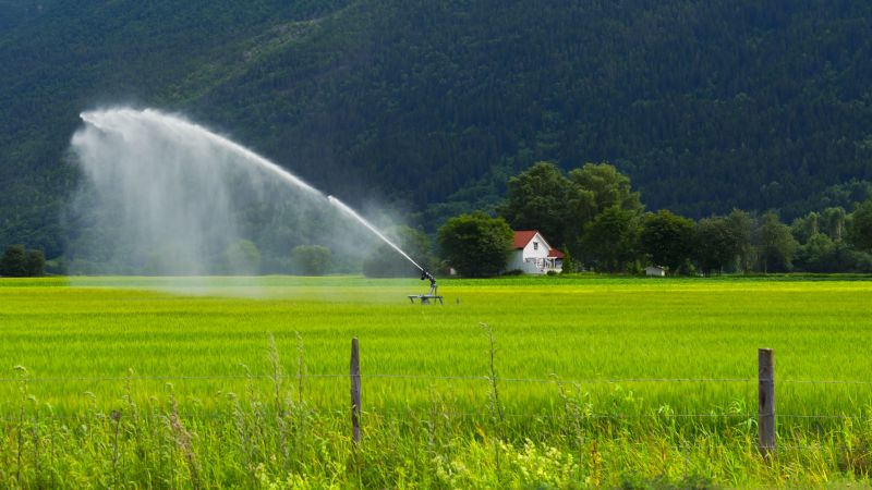 Irrigation and Watering Systems