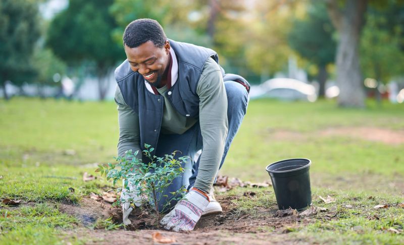 Shrub Planting Service in Ventura County, CA